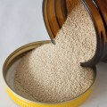 All You Need to Know About Yeast in Home Brewing